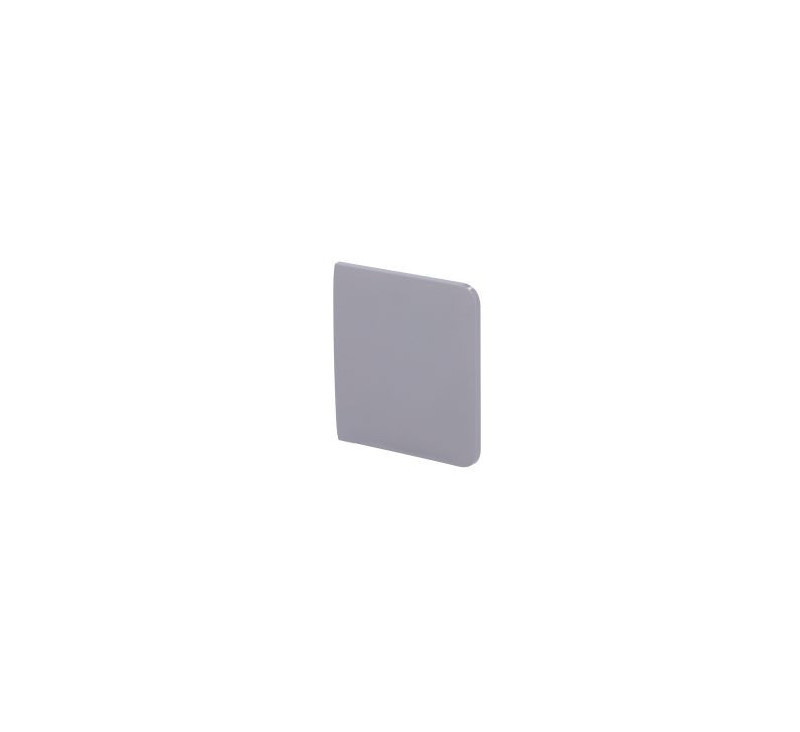 Ajax SideButton (1-gang/2-way) [55] grey